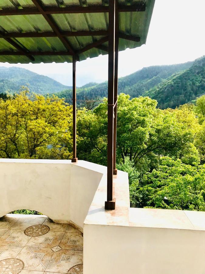 Zviad Guest House Borjomi Exteriör bild
