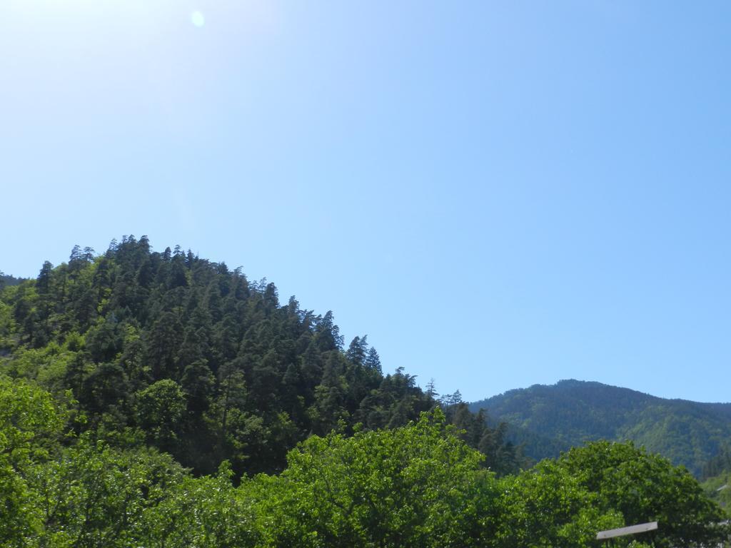 Zviad Guest House Borjomi Exteriör bild